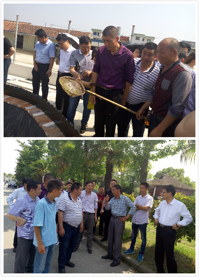 未命名_meitu_22.jpg 未命名_meitu_22.jpg